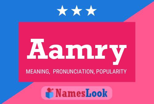 Aamry Name Poster