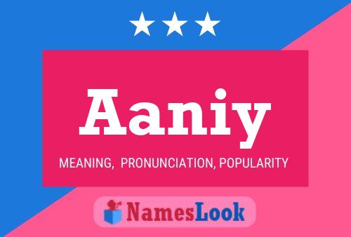 Aaniy Name Poster