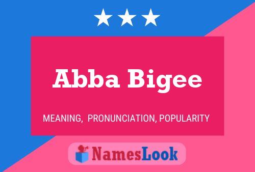 Abba Bigee Name Poster