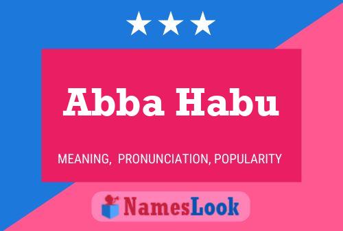 Abba Habu Name Poster