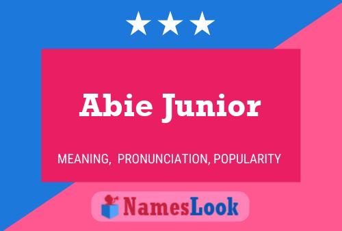 Abie Junior Name Poster