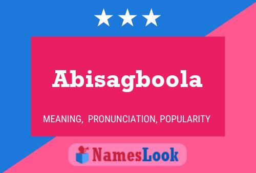 Abisagboola Name Poster