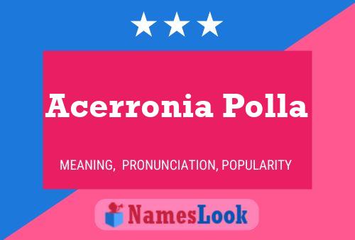 Acerronia Polla Name Poster