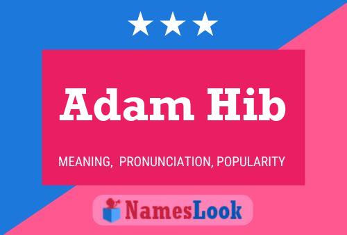 Adam Hib Name Poster