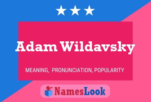 Adam Wildavsky Name Poster