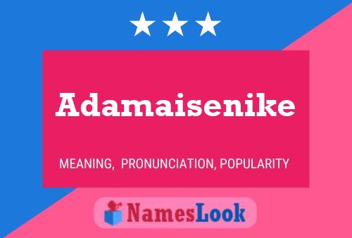 Adamaisenike Name Poster