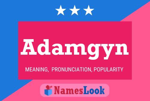 Adamgyn Name Poster