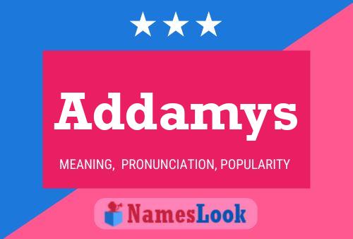 Addamys Name Poster