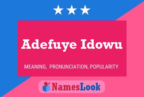 Adefuye Idowu Name Poster