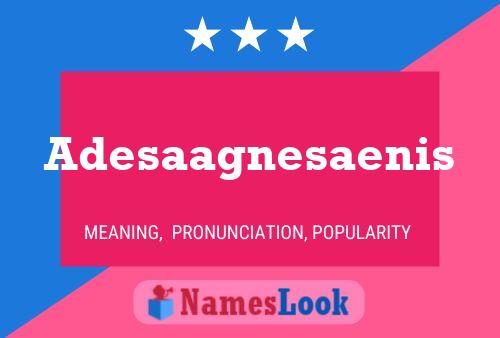 Adesaagnesaenis Name Poster