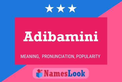 Adibamini Name Poster