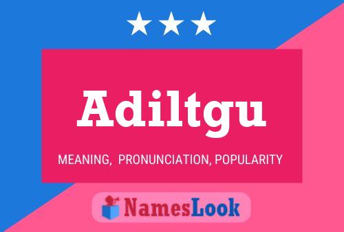 Adiltgu Name Poster