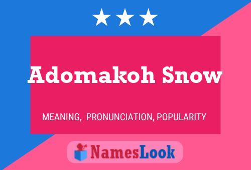 Adomakoh Snow Name Poster