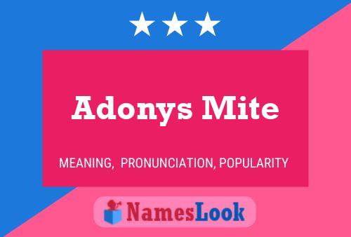 Adonys Mite Name Poster