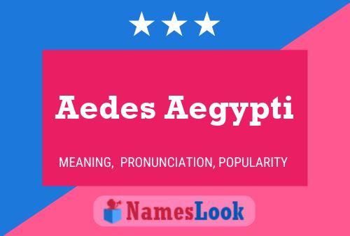 Aedes Aegypti Name Poster