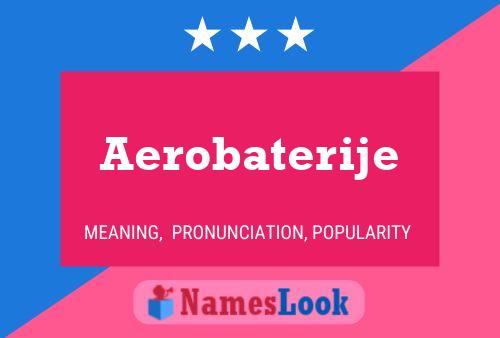 Aerobaterije Name Poster