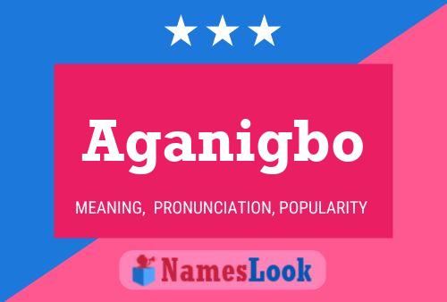 Aganigbo Name Poster