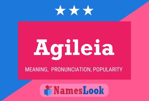 Agileia Name Poster