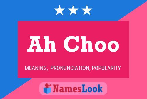 Ah Choo Name Poster