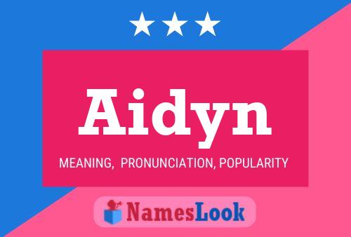 Aidyn Name Poster