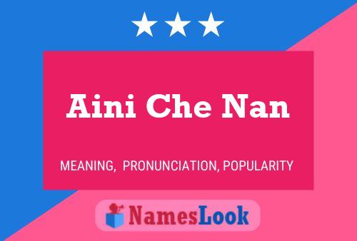 Aini Che Nan Name Poster