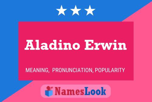 Aladino Erwin Name Poster