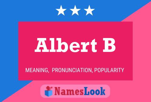 Albert B Name Poster