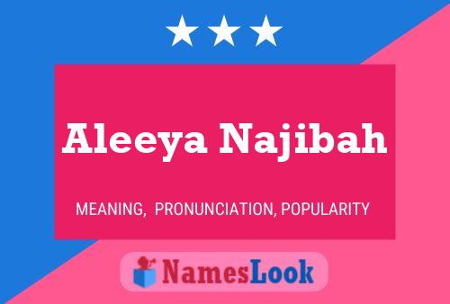 Aleeya Najibah Name Poster