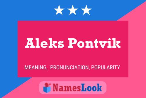 Aleks Pontvik Name Poster