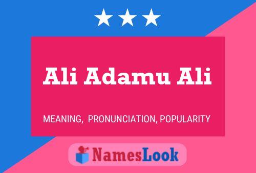 Ali Adamu Ali Name Poster