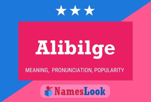 Alibilge Name Poster