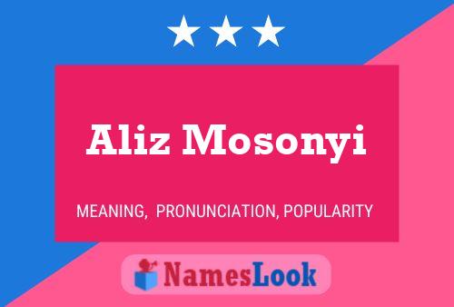 Aliz Mosonyi Name Poster