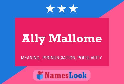 Ally Mallome Name Poster