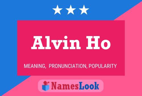 Alvin Ho Name Poster