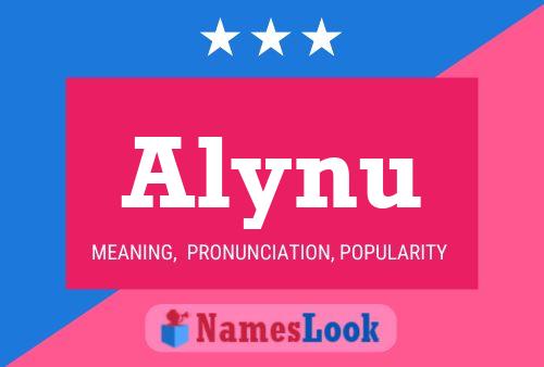 Alynu Name Poster