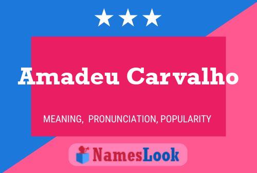 Amadeu Carvalho Name Poster