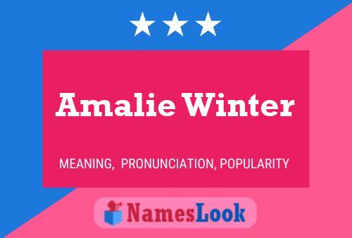 Amalie Winter Name Poster