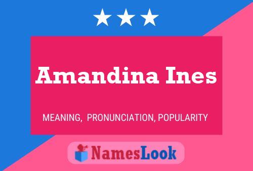 Amandina Ines Name Poster