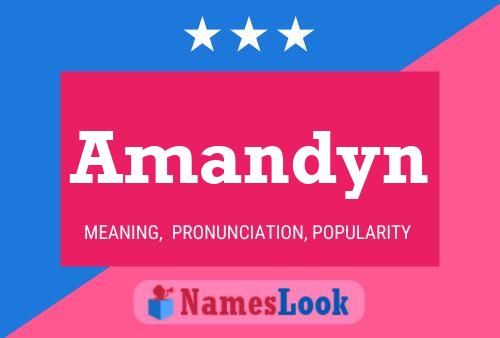 Amandyn Name Poster