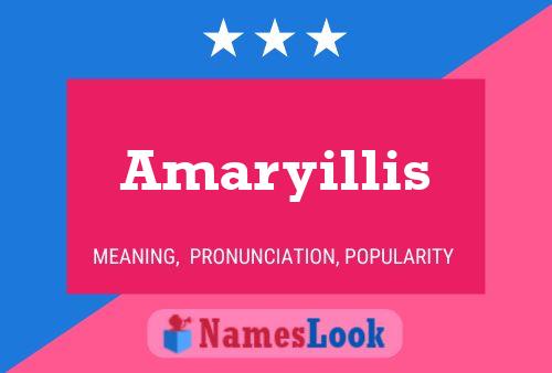 Amaryillis Name Poster