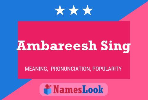 Ambareesh Sing Name Poster