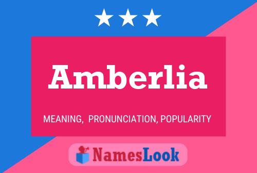 Amberlia Name Poster