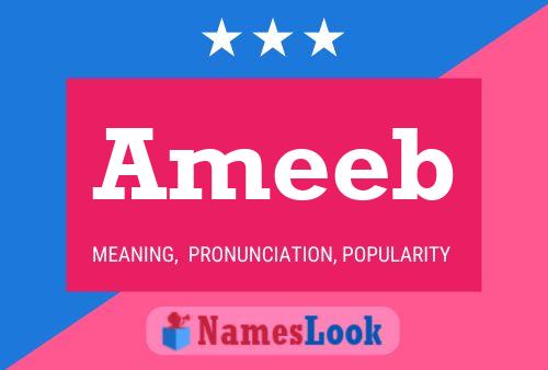 Ameeb Name Poster