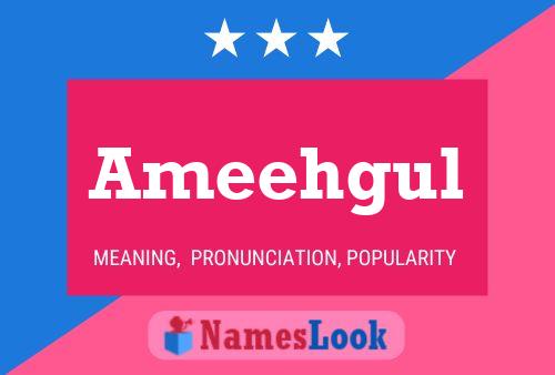 Ameehgul Name Poster