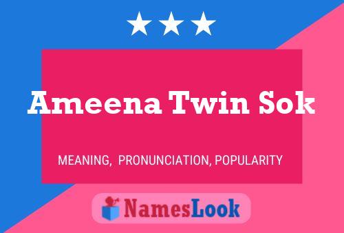 Ameena Twin Sok Name Poster