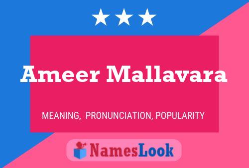 Ameer Mallavara Name Poster