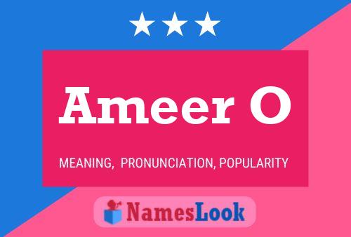 Ameer O Name Poster