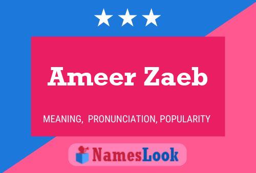 Ameer Zaeb Name Poster