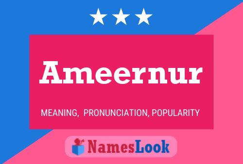 Ameernur Name Poster