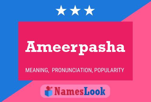 Ameerpasha Name Poster